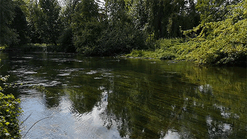 gif_ens_plaine_sorques
