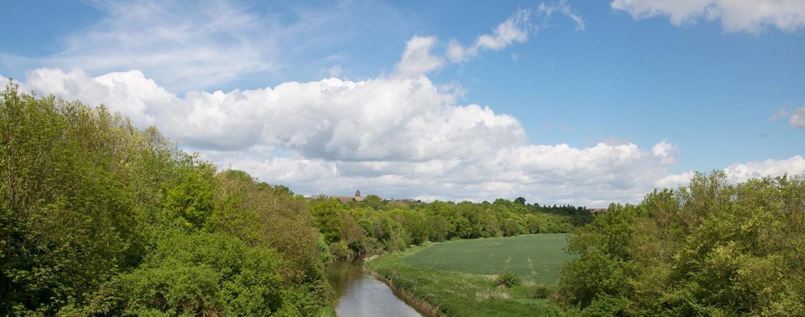 Brie-Comte-Robert : travaux sur l’Espace naturel sensible Le Chemin des ...