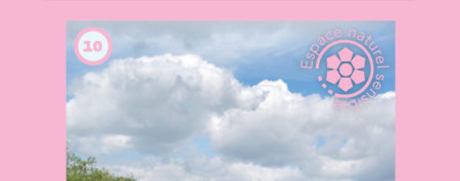 Espace naturel sensible - Le chemin des roses | Département de Seine-et ...