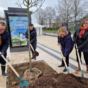 Des élus du Département de Seine-et-Marne replantent un arbre