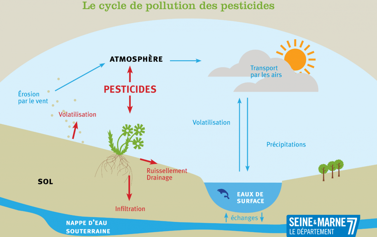 Infographie sur le cycle de pollution des pesticides