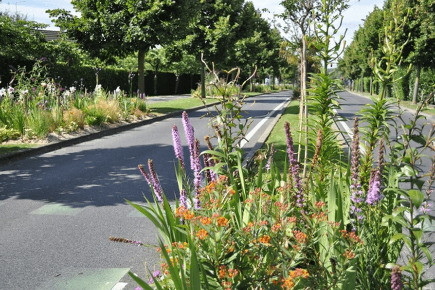 Candidature au label 