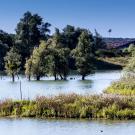 Espace naturel sensible Les Olivettes