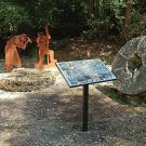 Espace naturel sensible du Bois de la Barre