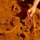 des fouilles archéologiques révélant des ossements dans du sable