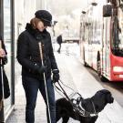 Deux femmes malvoyantes accompagnées d'un chien guide d'aveugle