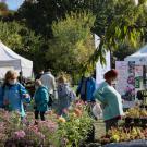 des visiteurs à la journée des plantes et art du jardin