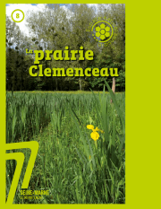 Espace naturel sensible - La prairie Clemenceau