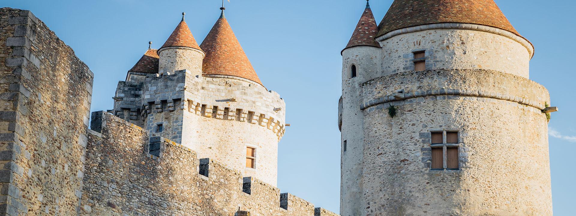 Les tours du Château de Blandy-les-Tours