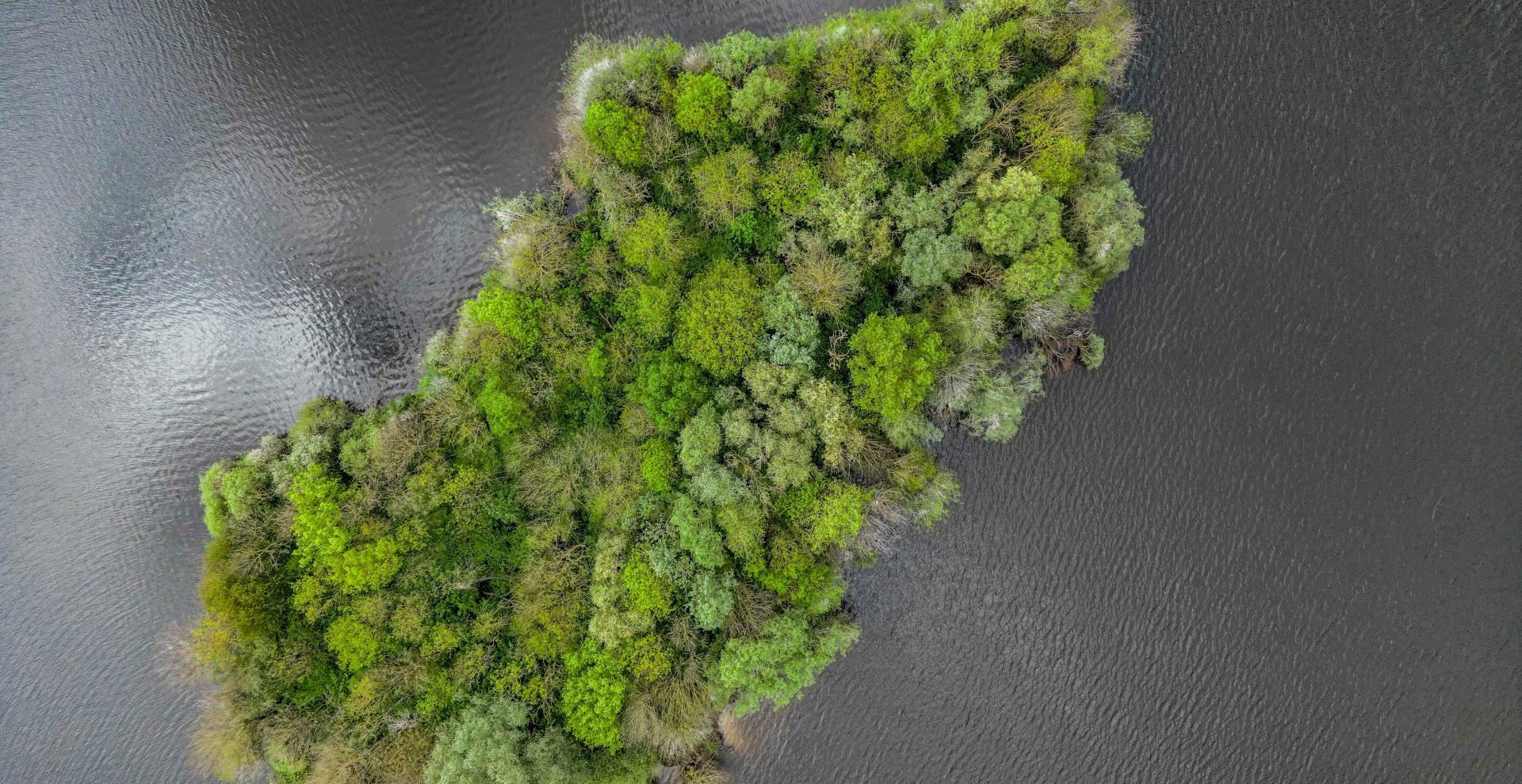 Une île boisée en Seine-et-Marne vue du ciel
