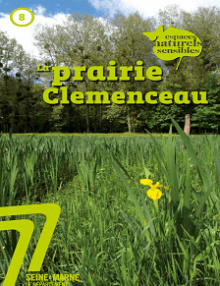 Espace naturel sensible - La prairie Clemenceau