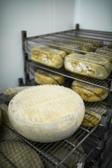 Le Brie de Montereau