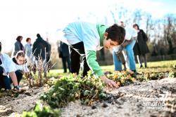 Un collégien plante des végétaux