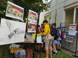 Agrandir l’image