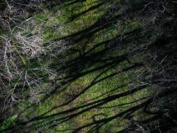 Agrandir l’image