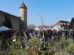 Agrandir l’image
