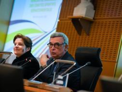 Agrandir l’image