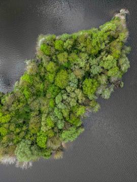 Une île boisée en Seine-et-Marne vue du ciel