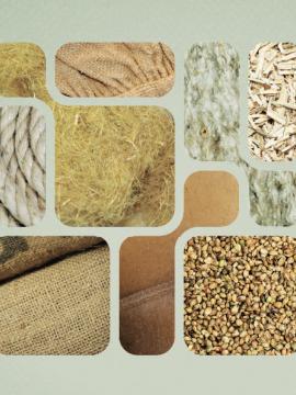 Visuel exposition "Chanvre"