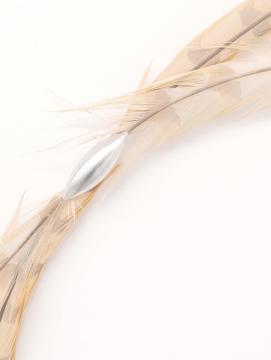 Exposition Constellationˢ