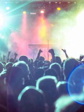 Public dans un festival