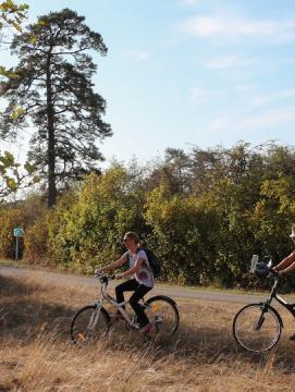 Des cyclistes en pleine nature en Seine-et-Marne