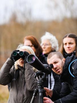 Visite guidée d'une zone humide en Seine-et-Marne
