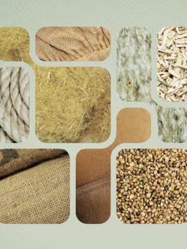 Visuel exposition "Chanvre"