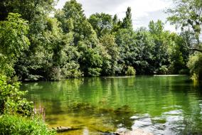 Un étang en Seine-et-Marne