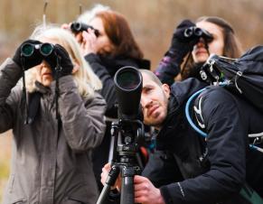 Des personnes observent les oiseaux avec des jumelles