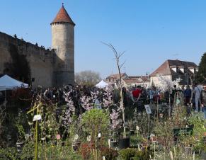 Stand de pépiniéristes devant l'enceinte d'un château médiéval