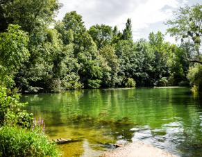 Un étang en Seine-et-Marne
