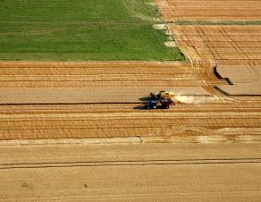 Moisson d'un champ de céréales