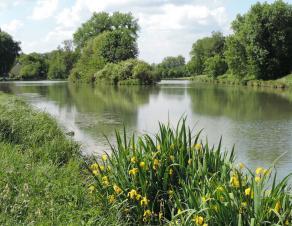 la rivière L'Orvanne