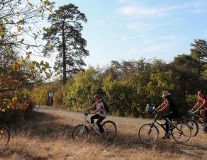 Des cyclistes en pleine nature en Seine-et-Marne