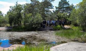 Forêt de Fontainebleau