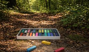 Une boîte de pastel dans la forêt
