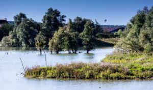 Espace naturel sensible Les Olivettes