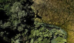 Le carreau Franc vu du ciel
