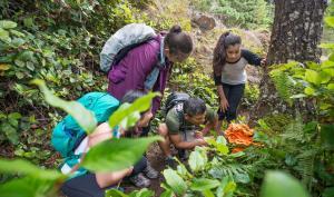 Un groupe de collégiens découvre la nature avec un professeur dans une forêt