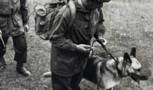 Évènements novembre musée gendarmerie