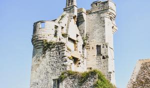 Donjon du Houssoy