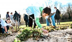 Un collégien plante des végétaux