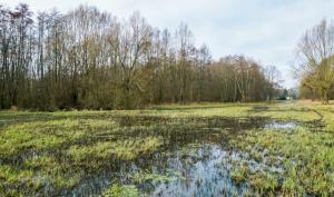 ENS la Frayère du marais