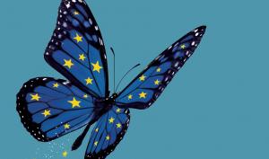 Papillon aux couleurs de l'Union européenne