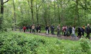 Un groupe de randonneurs sur un chemin de la forêt de Dammarie-Les-Lys