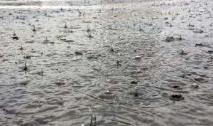 Forte pluie 