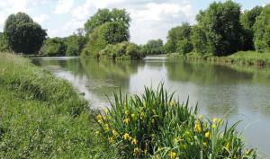 la rivière L'Orvanne