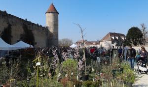 Stand de pépiniéristes devant l'enceinte d'un château médiéval