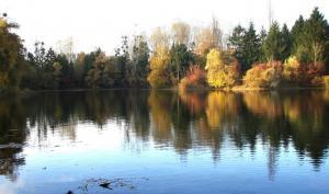 Paysage de la réserve naturelle de la Bassée en Seine-et-Marne